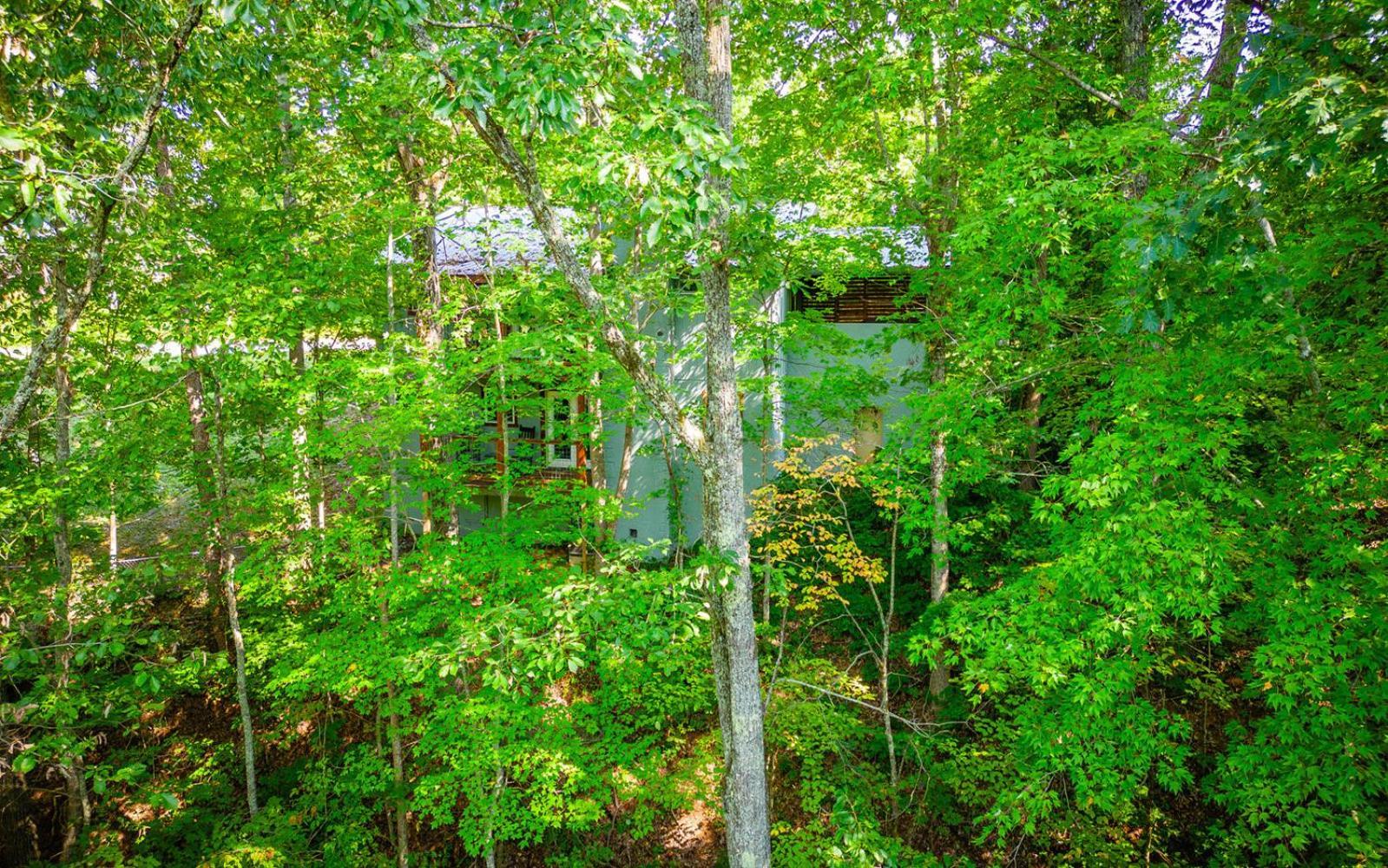 Villa Dollys Getaway à Sevierville Extérieur photo
